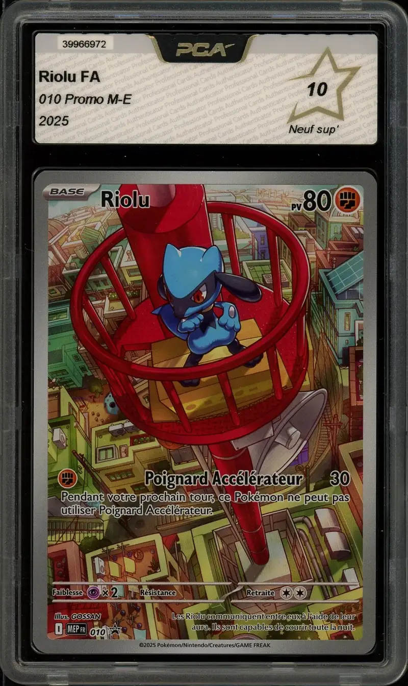 PCA 10 Riolu