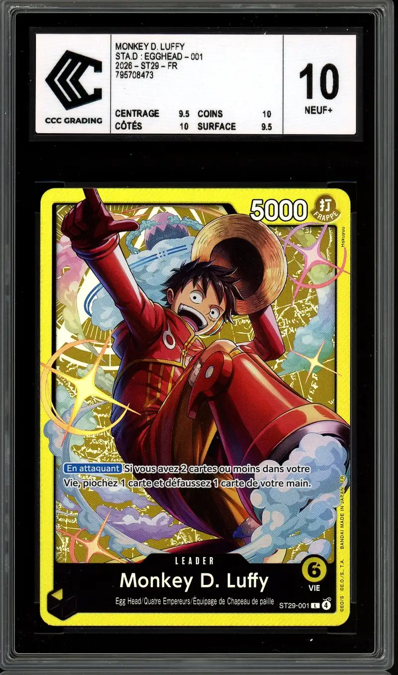 CCC 10 Monkey D. Luffy