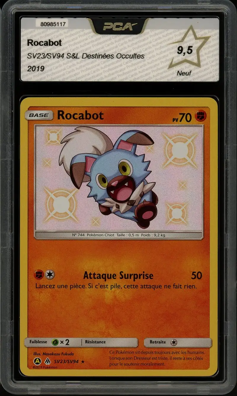 PCA 9.5 Rocabot Shiny