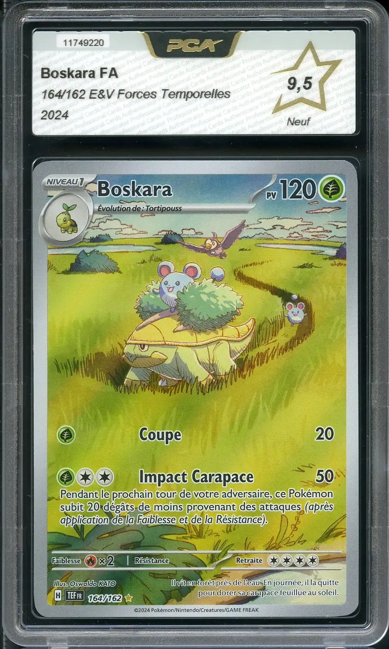 PCA 9.5 Boskara