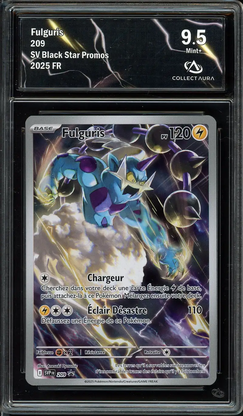 CA 9.5 Fulguris