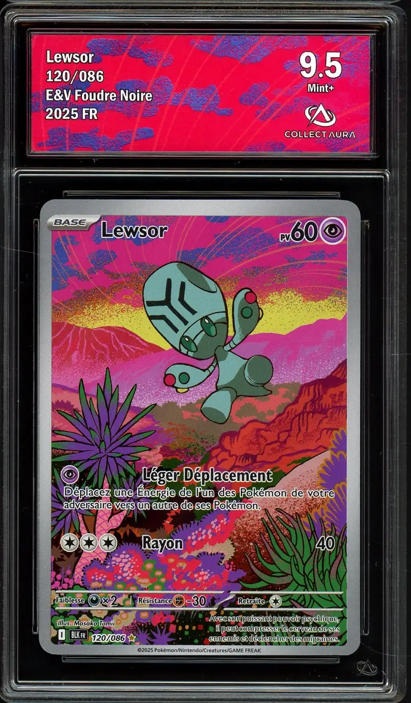 CA 9.5 Lewsor