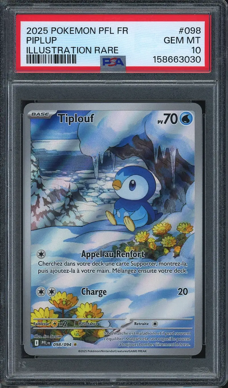 PSA 10 Tiplouf