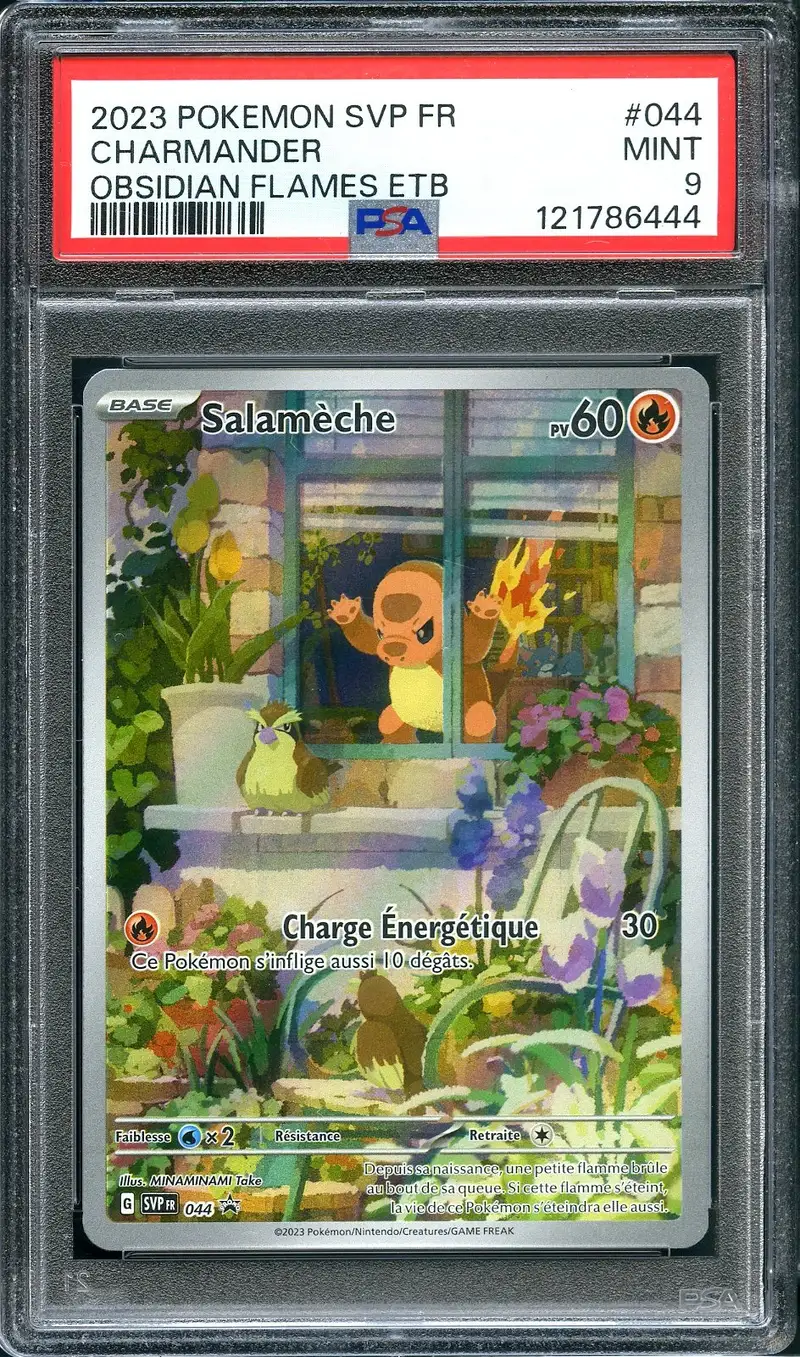 PSA 9 Salamèche