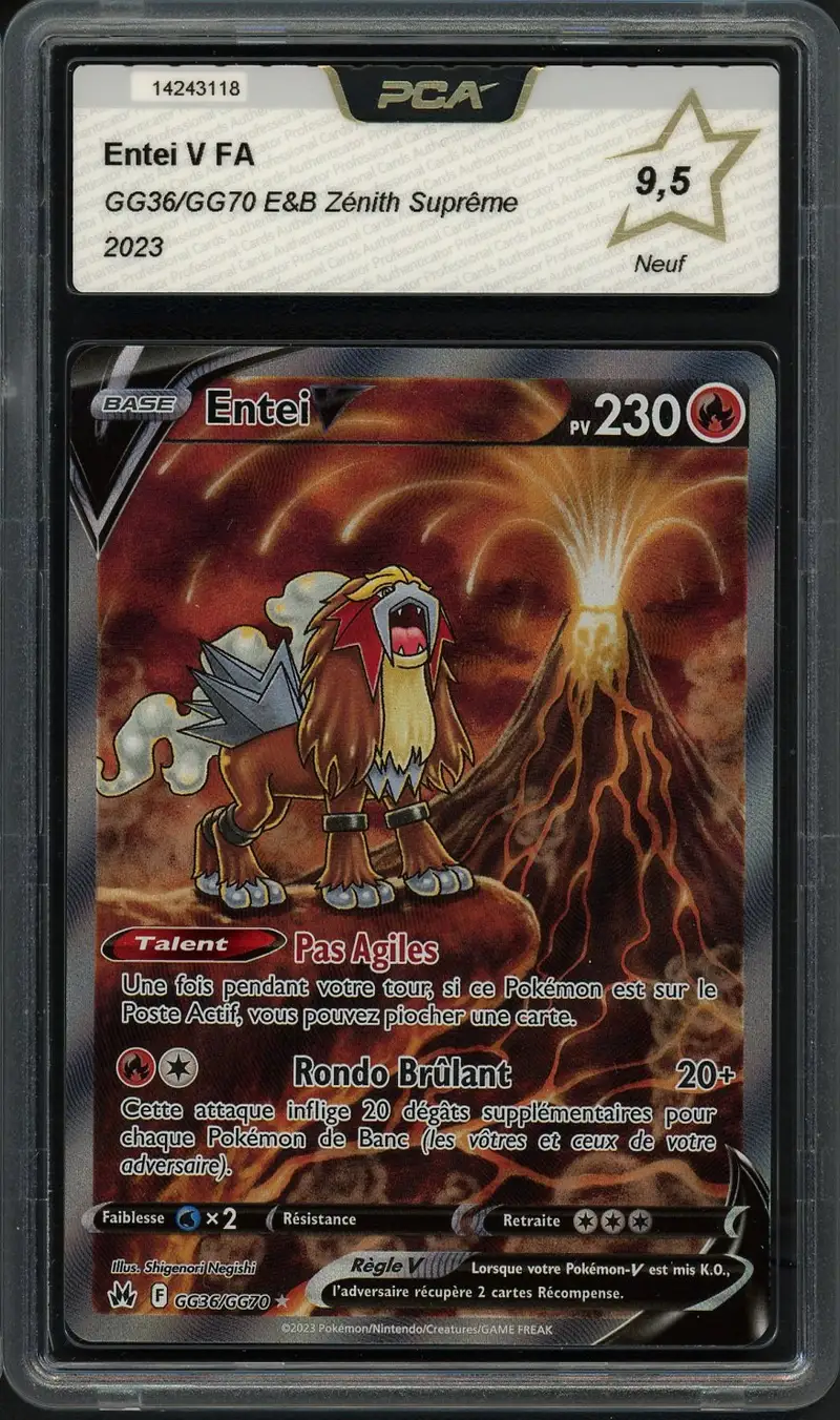 PCA 9.5 Entei V