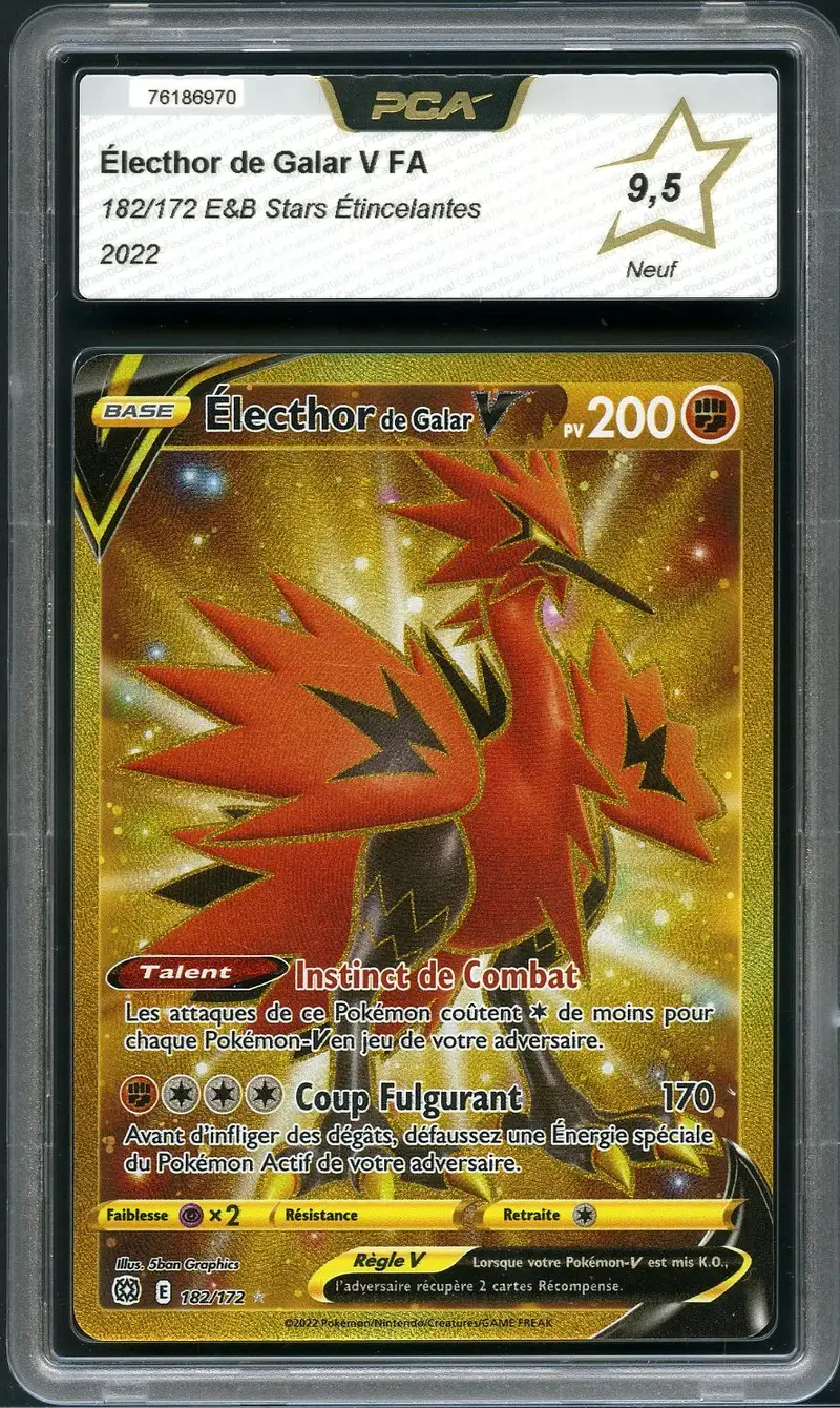 PCA 9.5 Electhor de Galar V Gold