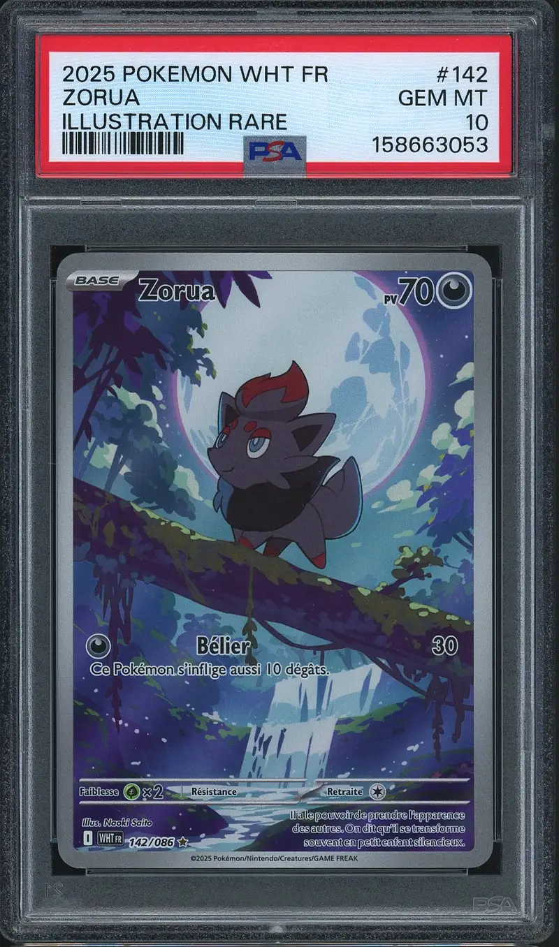 PSA 10 Zorua