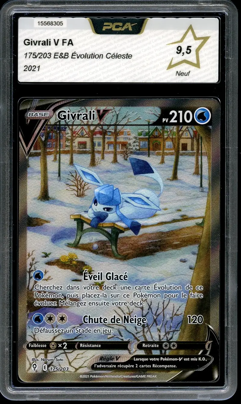 PCA 9.5 Givrali V