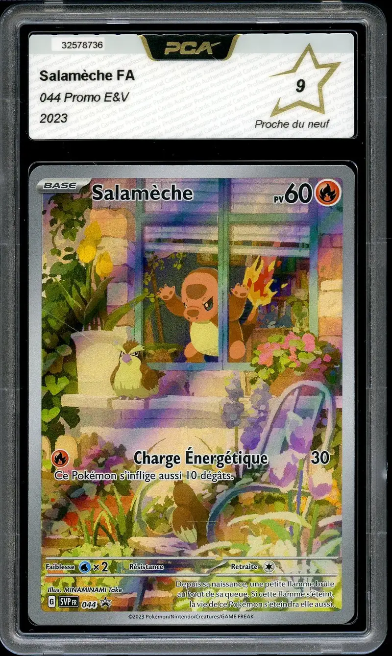 PCA 9 Salamèche