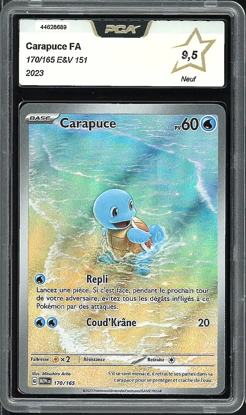 PCA 9.5 Carapuce