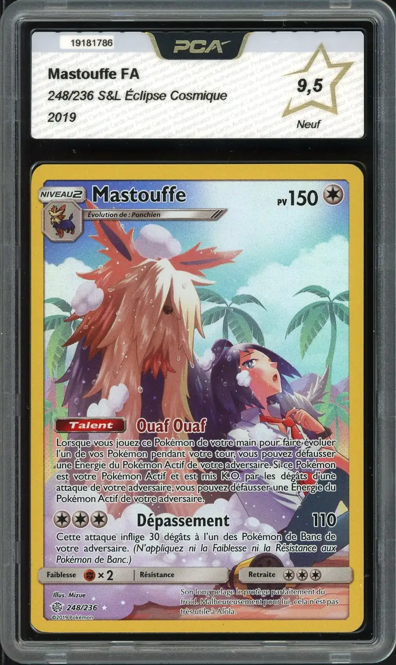 PCA 9.5 Mastouffe