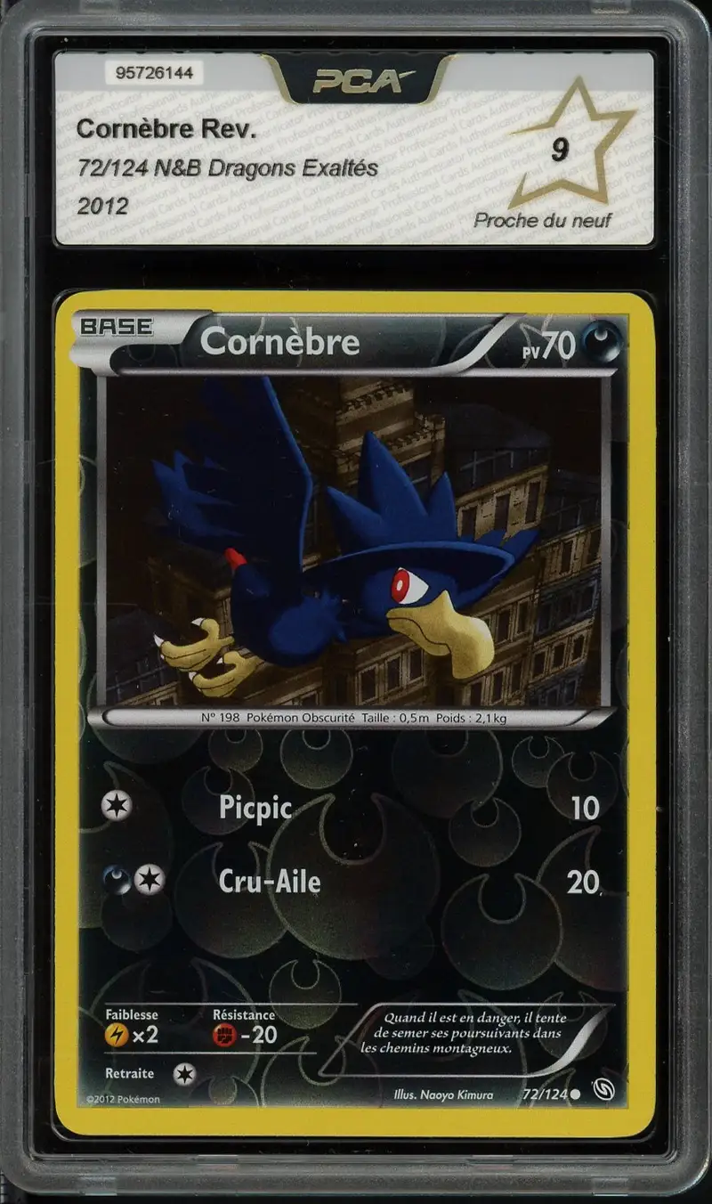 PCA 9 Cornèbre Reverse