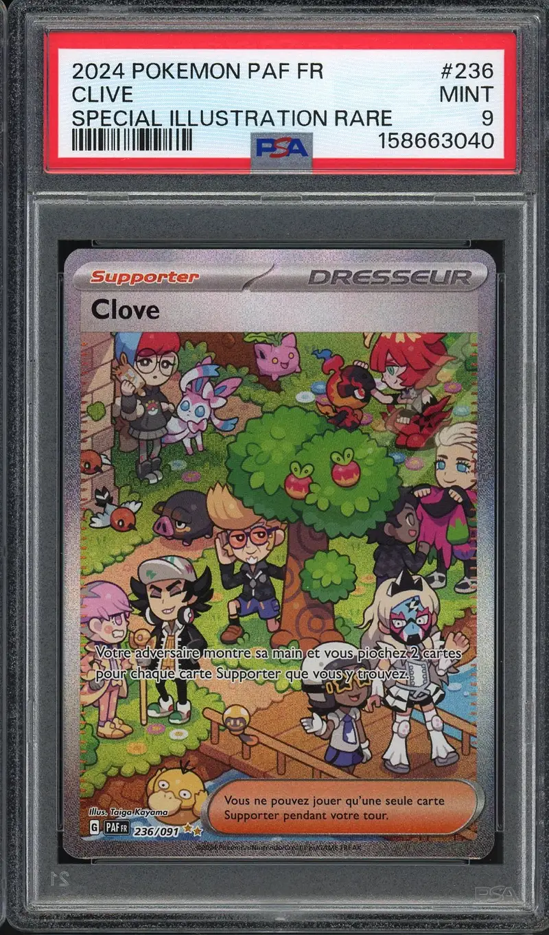 PSA 9 Clove