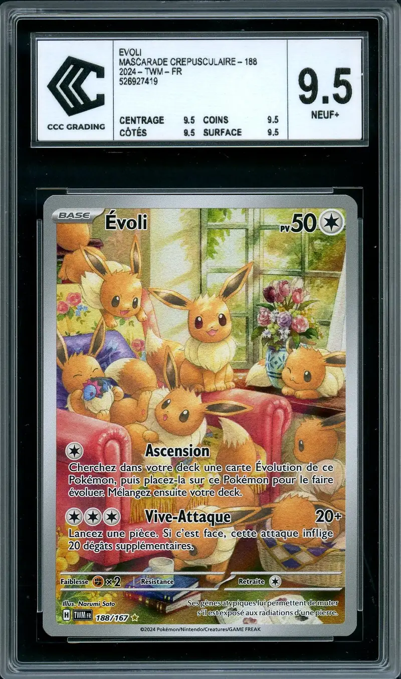 CCC 9.5 Evoli