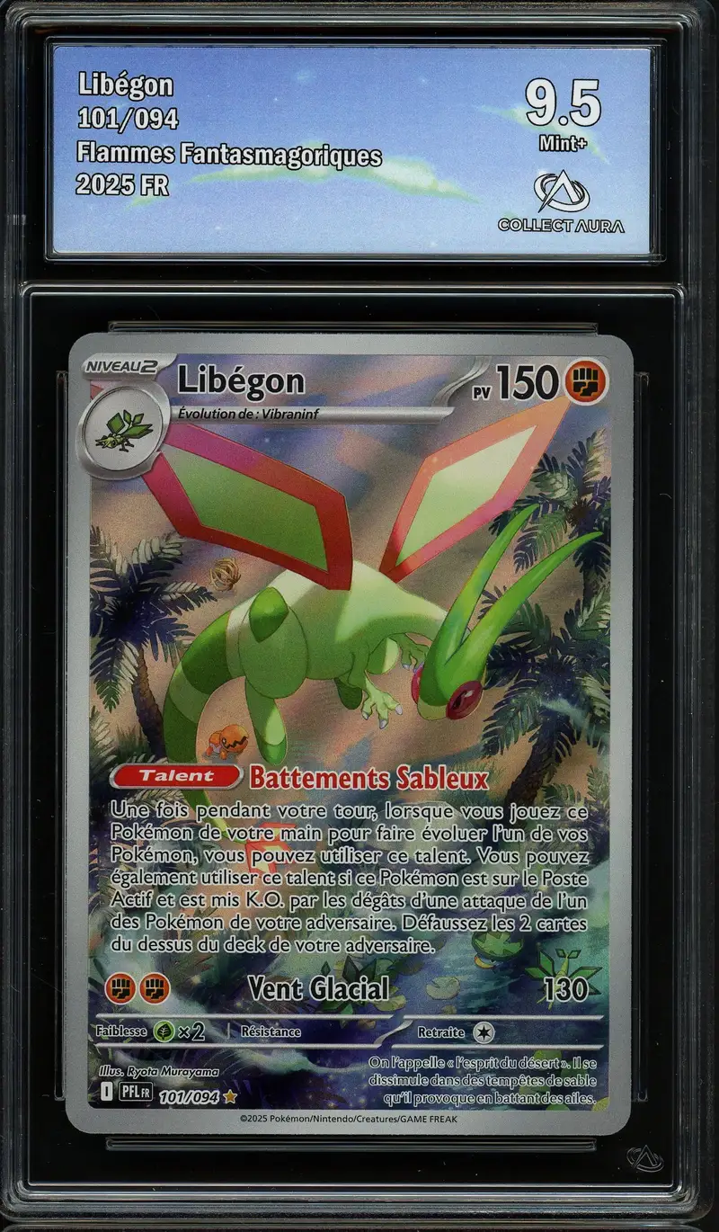 CA 9.5 Libegon