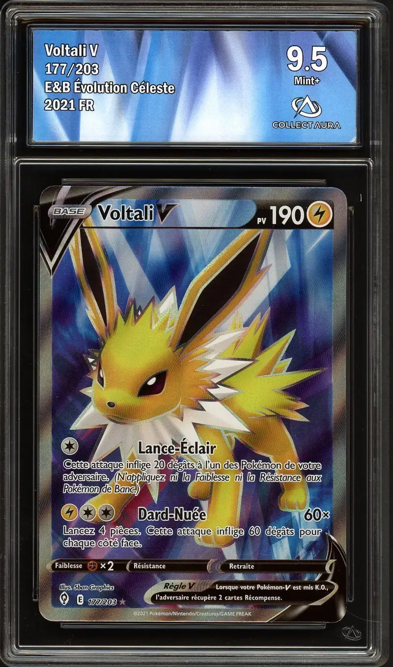 CA 9.5 Voltali V