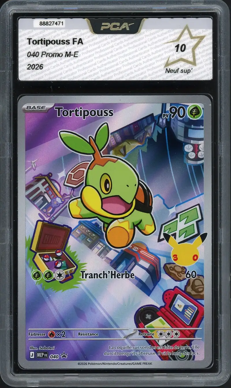 PCA 10 Tortipouss