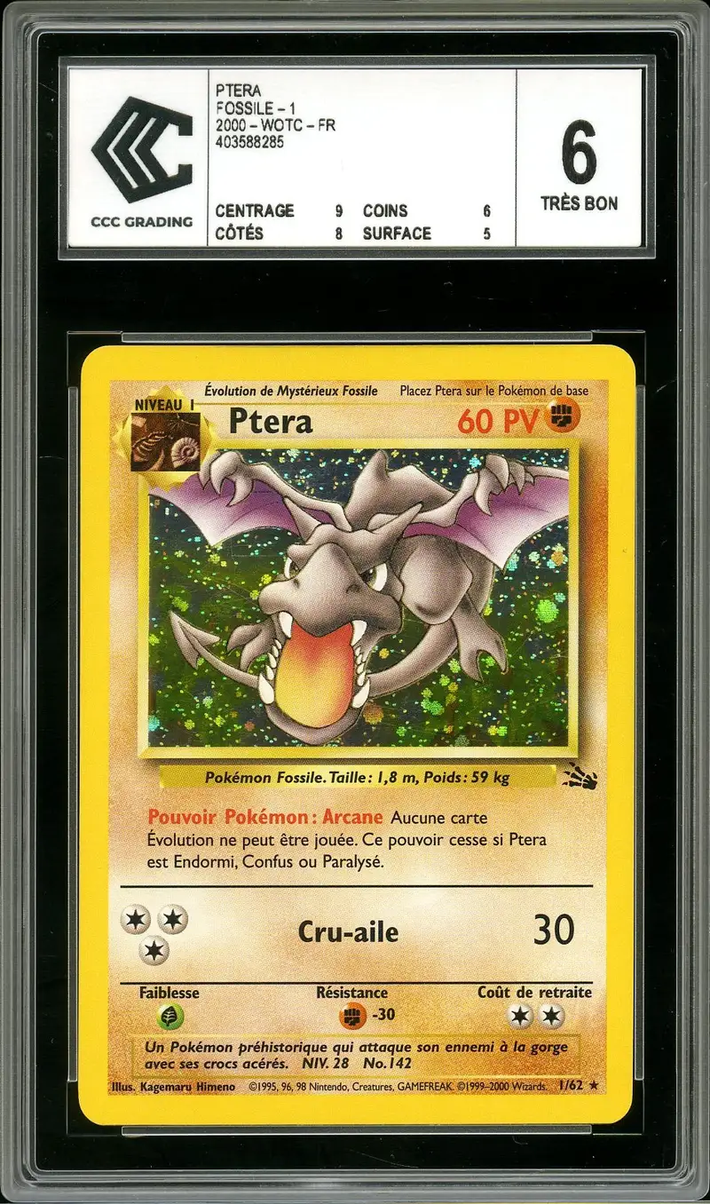 CCC 6 Ptera Holo