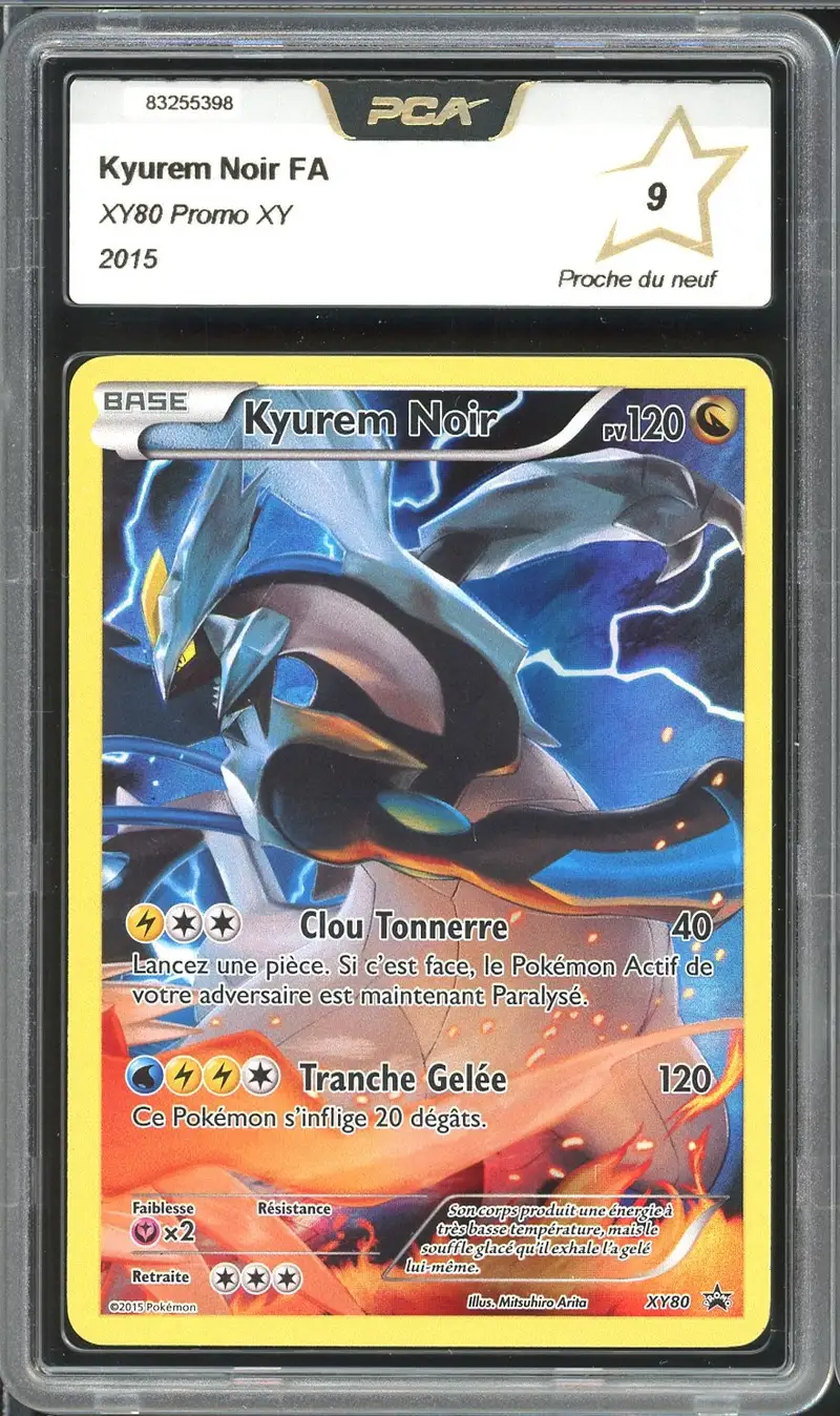 PCA 9 Kyurem Noir