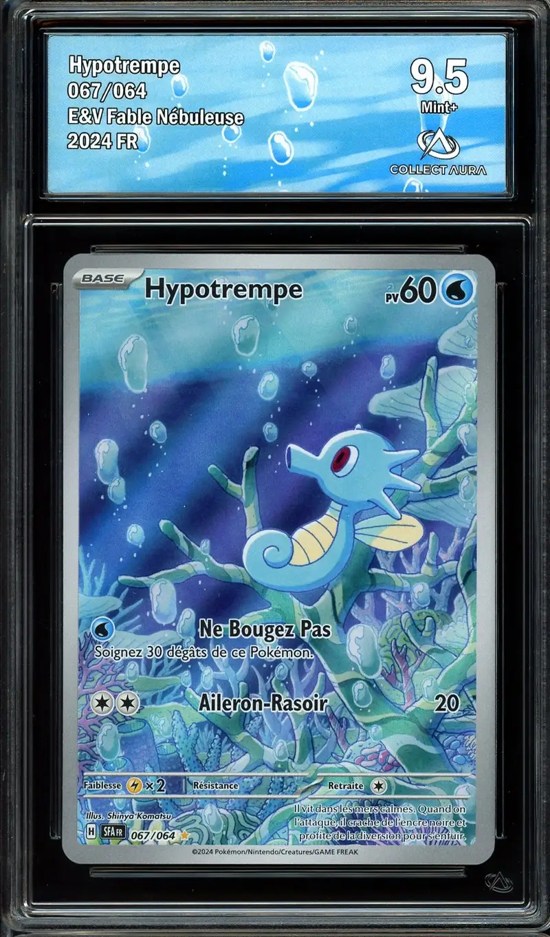 CA 9.5 Hypotrempe