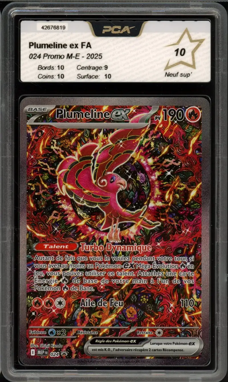 PCA 10 Plumeline Ex