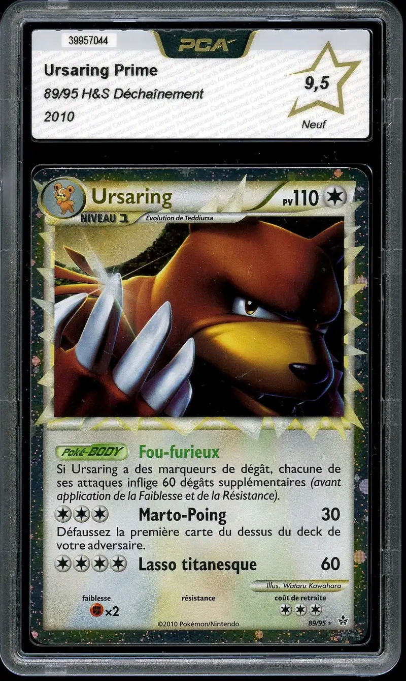 PCA 9.5 Ursaring Prime
