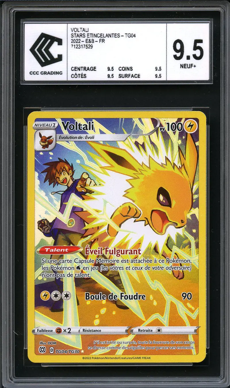 CCC 9.5 Voltali