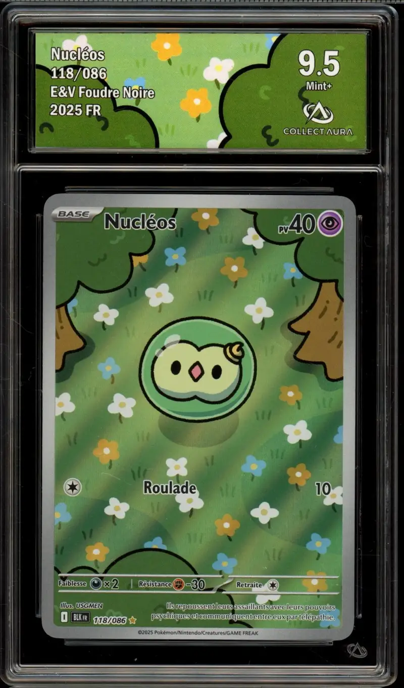 CA 9.5 Nucléos