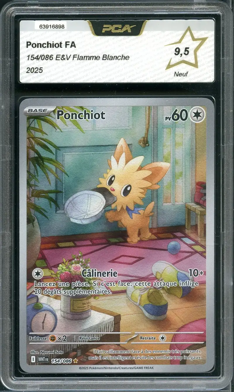 PCA 9.5 Ponchiot
