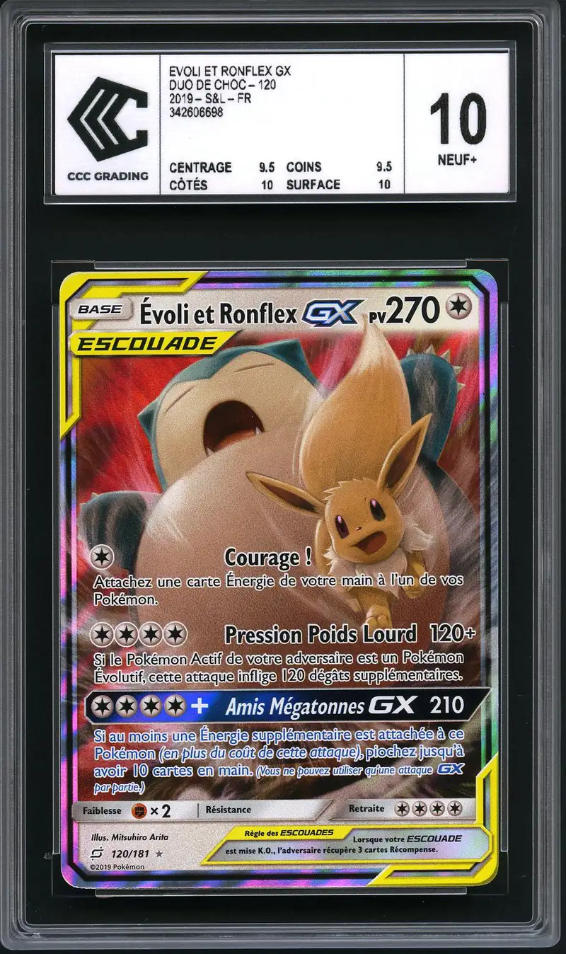 CCC 10 Evoli et Ronflex Gx