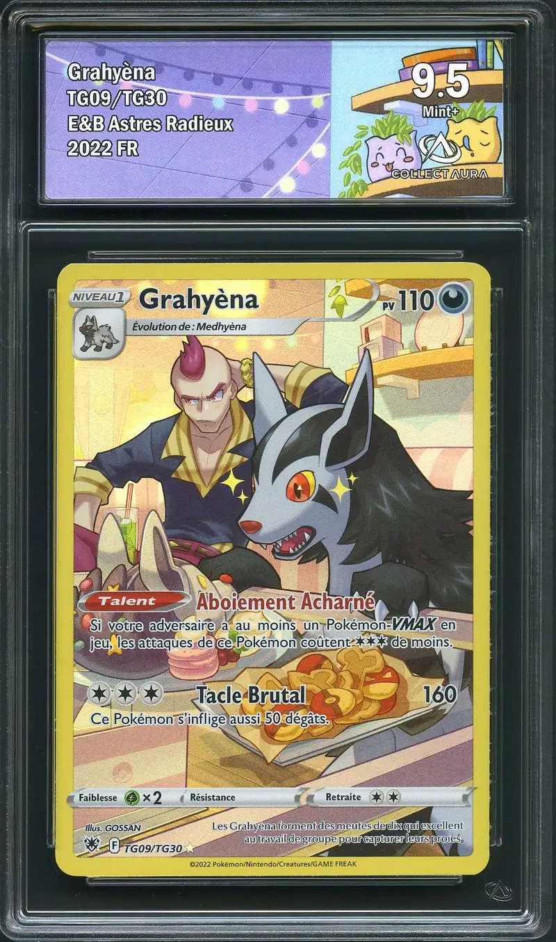 CA 9.5 Grahyèna