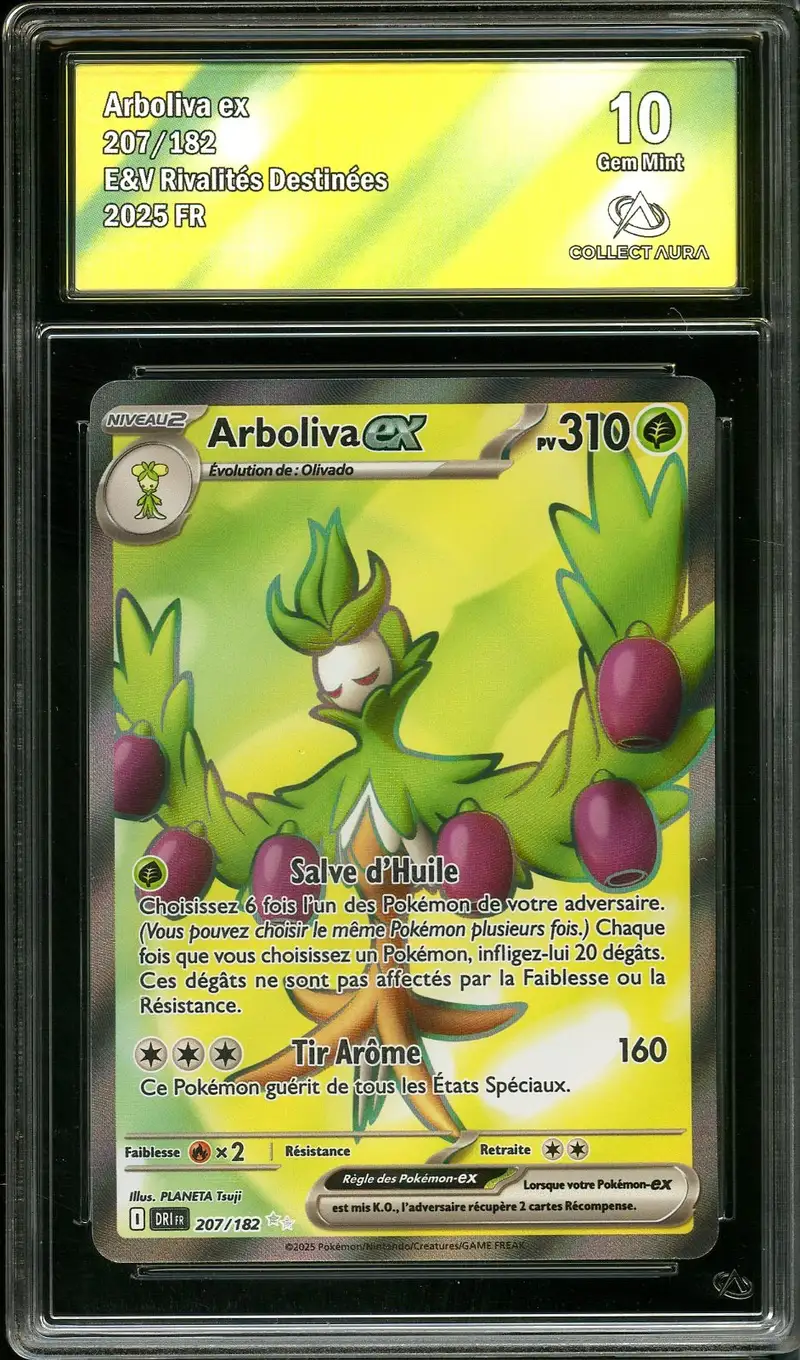 CA 10 Arboliva Ex