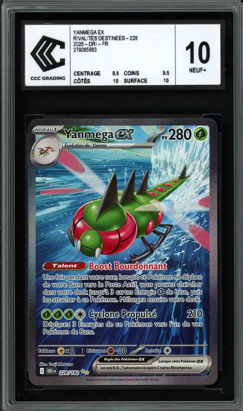 CCC 10 Yanmega Ex