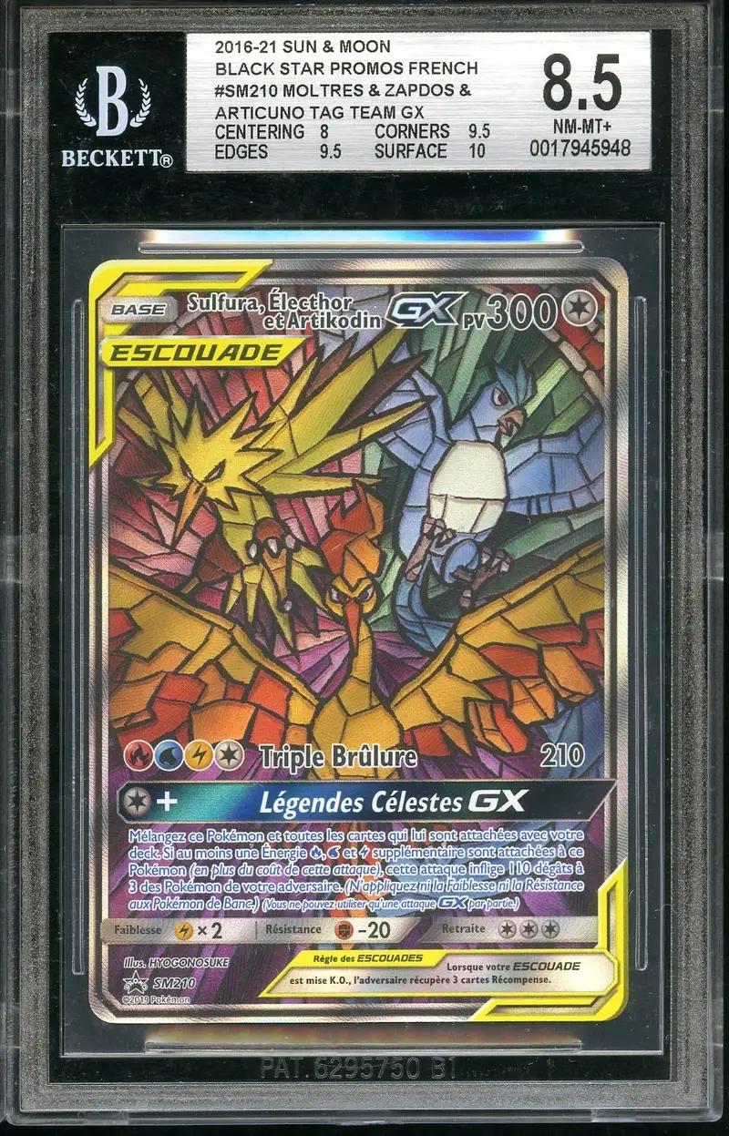 BGS 8.5 Sulfura, Électhor et Artikodin Gx