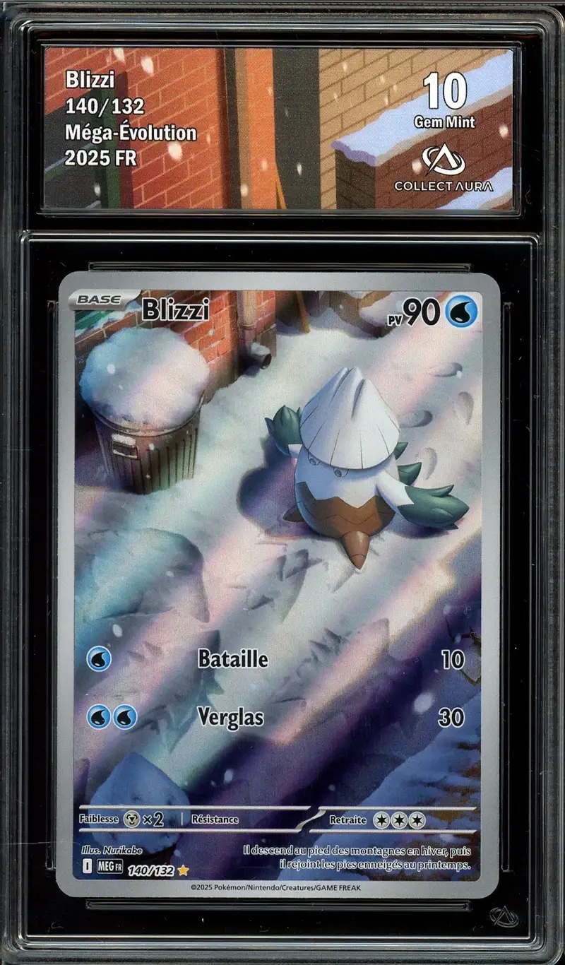CA 10 Blizzi