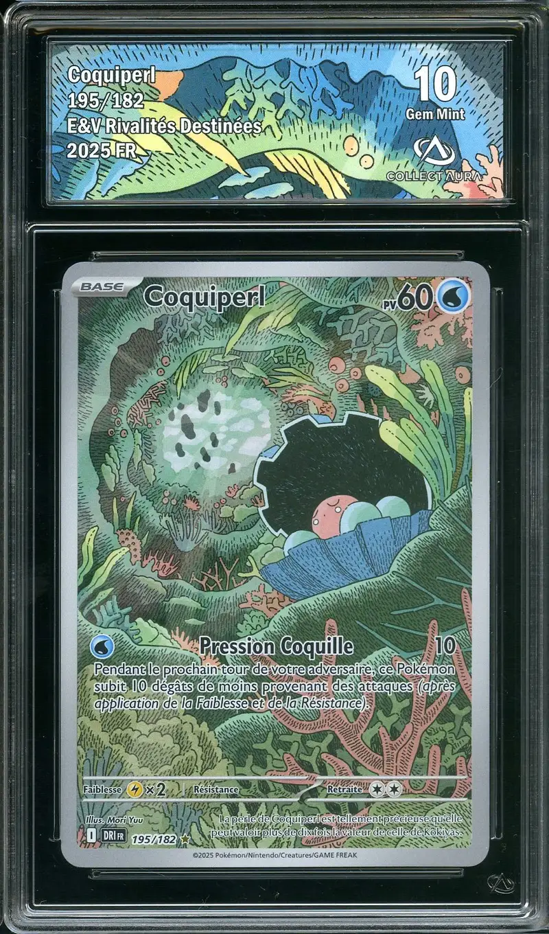 CA 10 Coquiperl