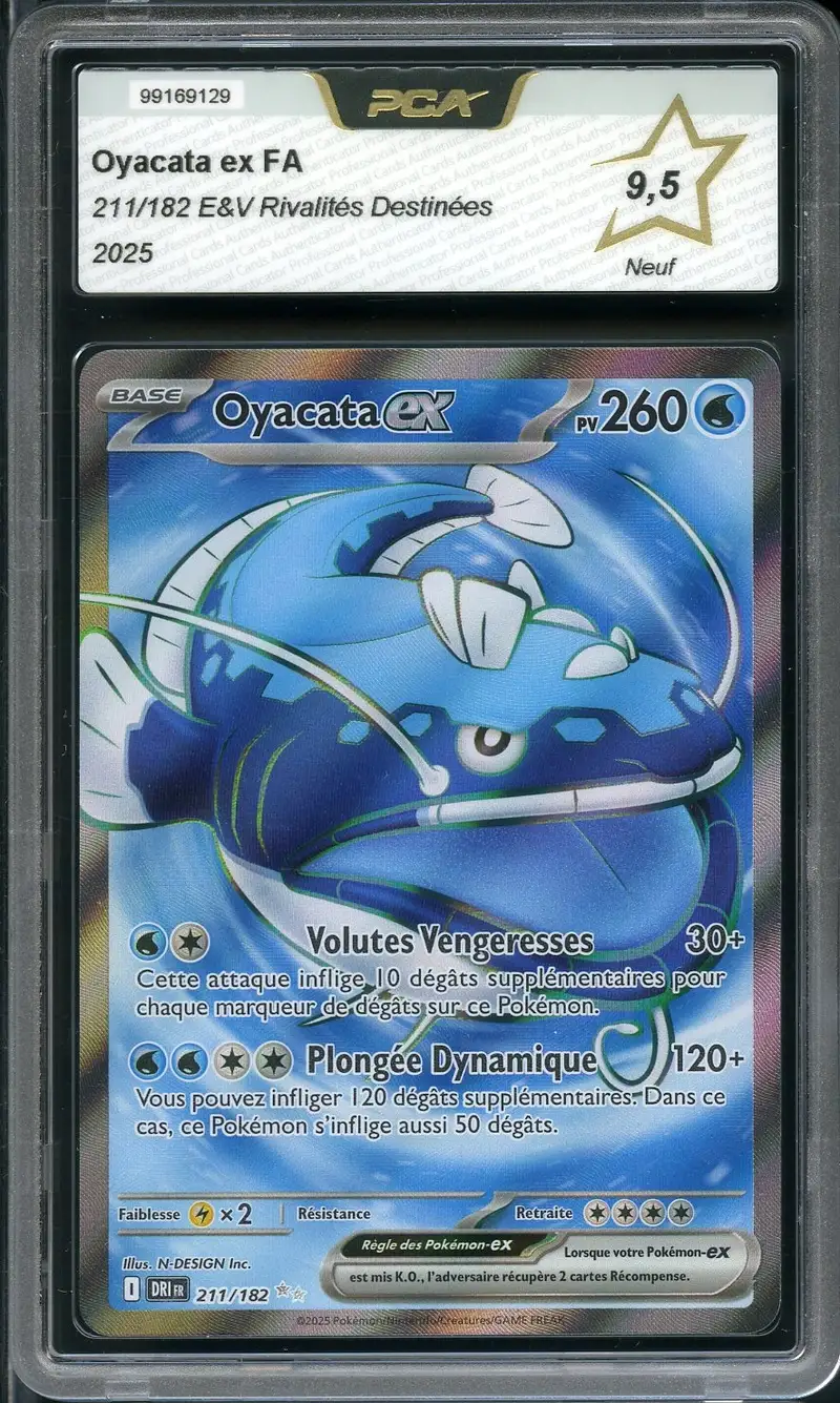 PCA 9.5 Oyacata Ex