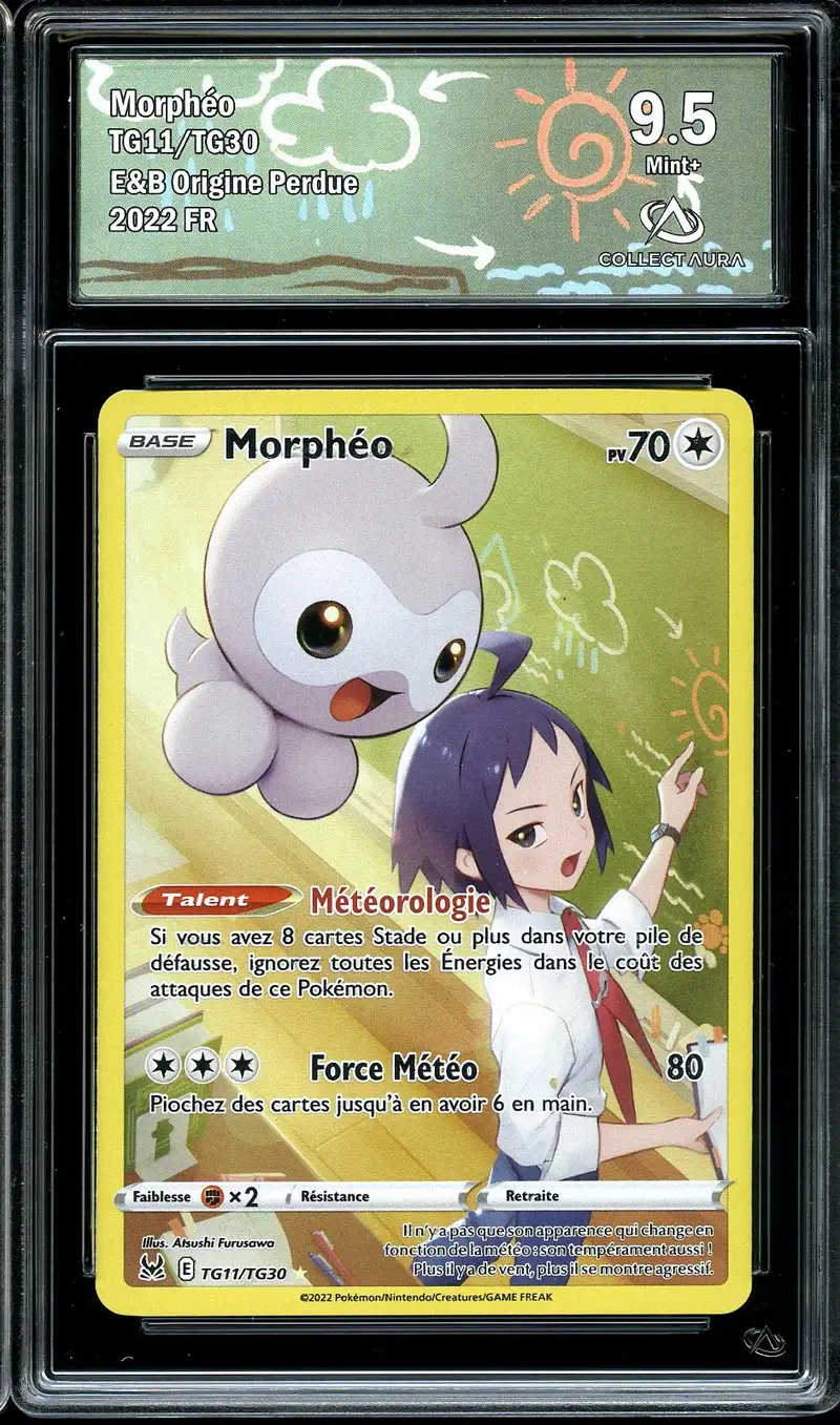 CA 9.5 Morphéo