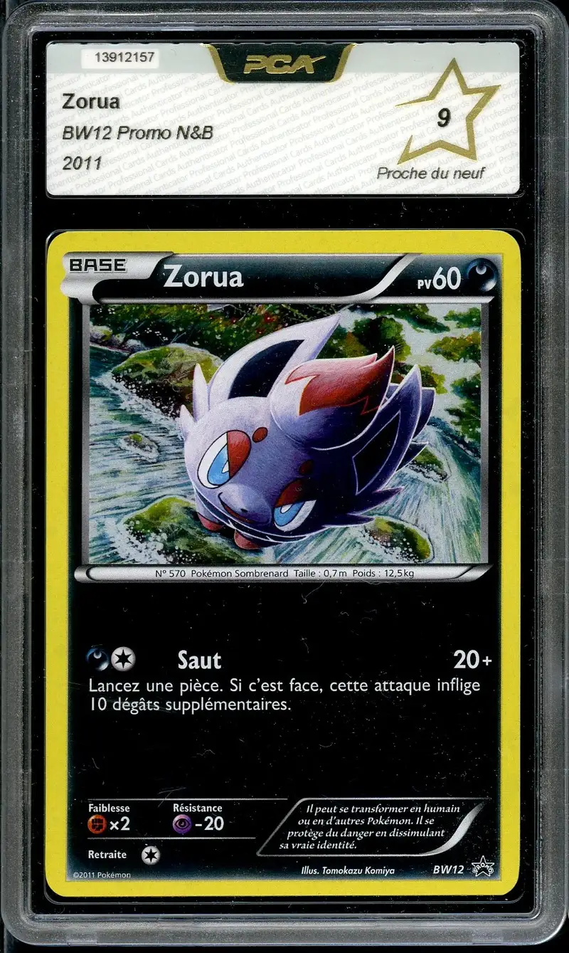 PCA 9 Zorua Holo