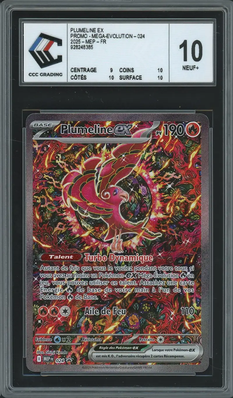CCC 10 Plumeline Ex
