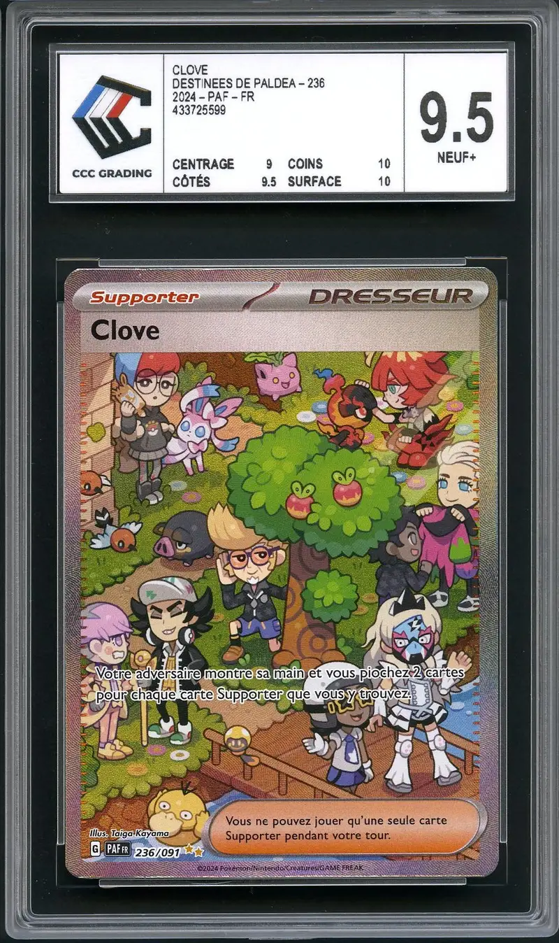 CCC 9.5 Clove
