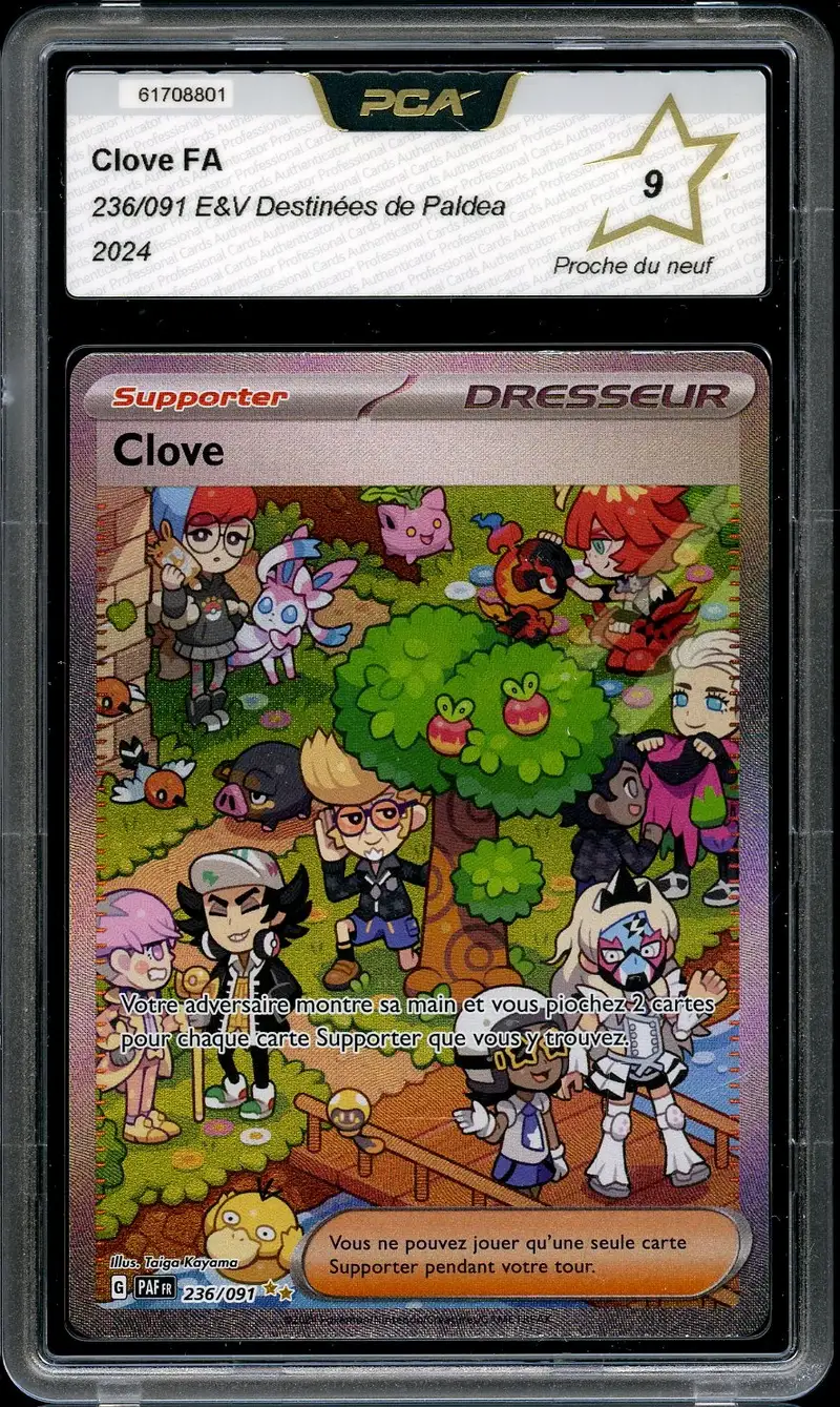 PCA 9 Clove