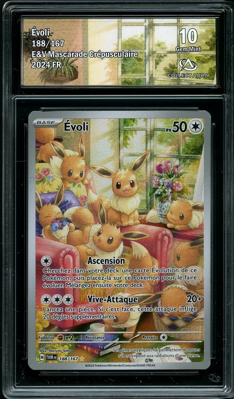 CA 10 Evoli