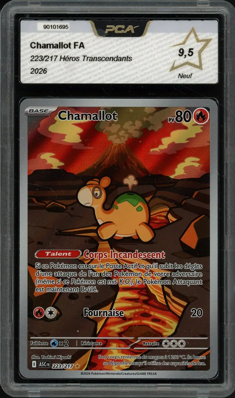 PCA 9.5 Chamallot