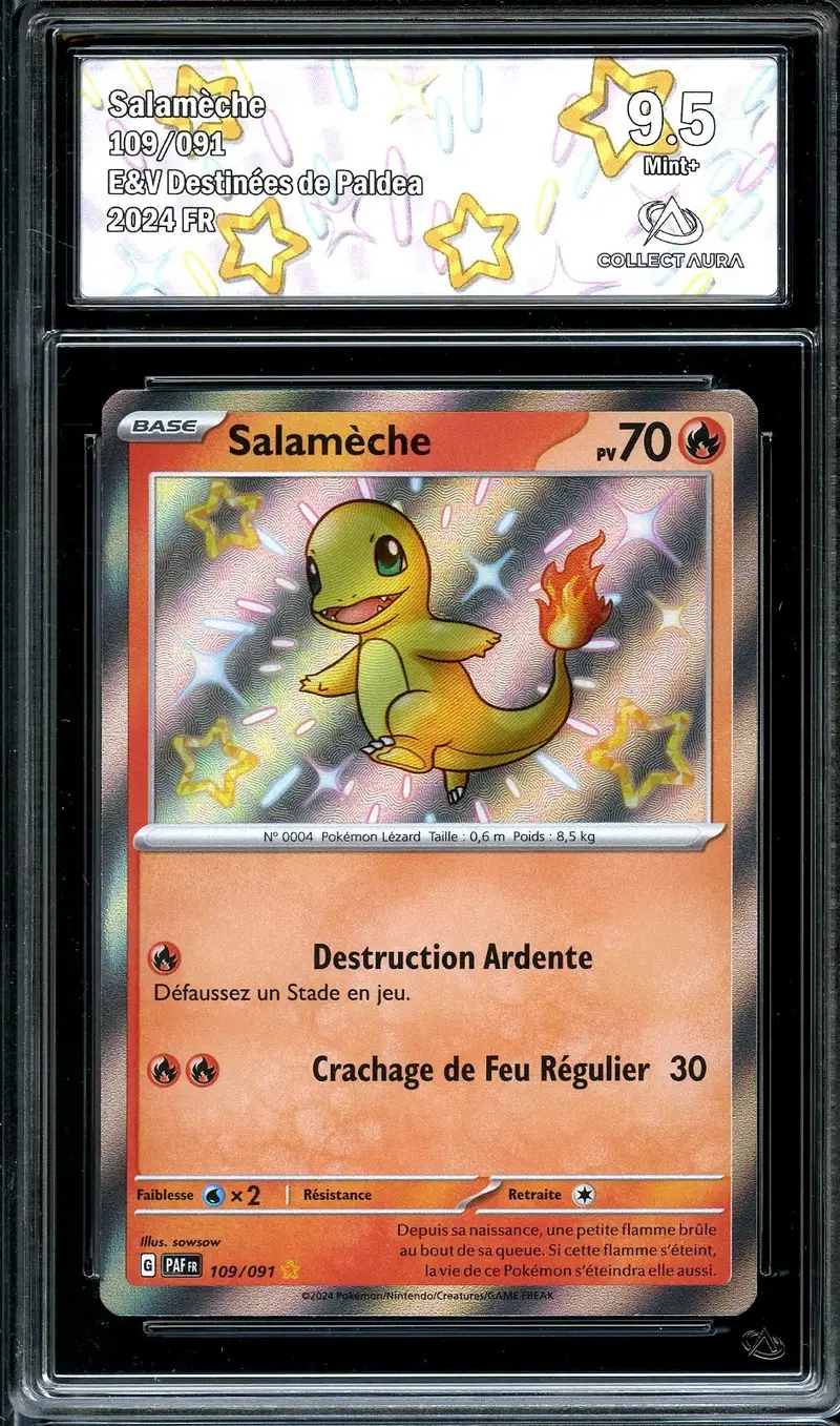 CA 9.5 Salamèche Shiny