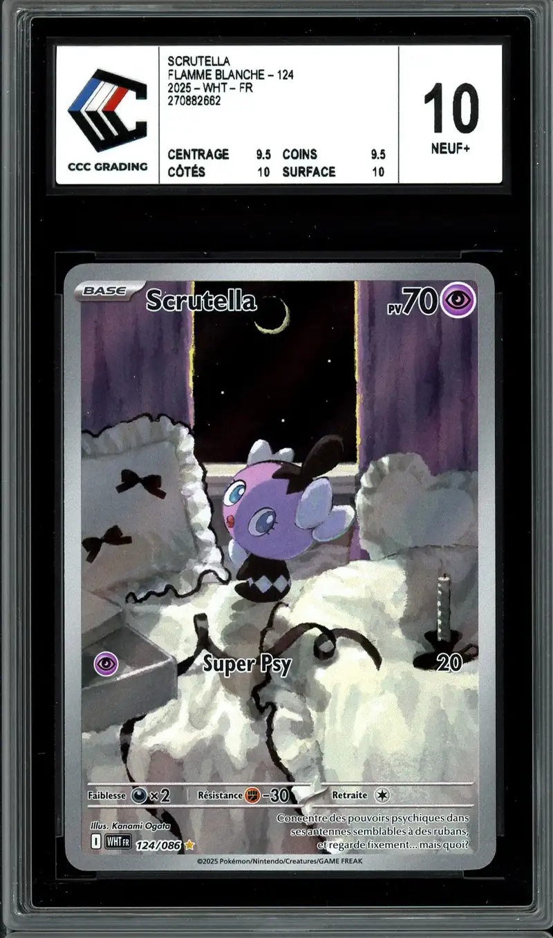 CCC 10 Scrutella