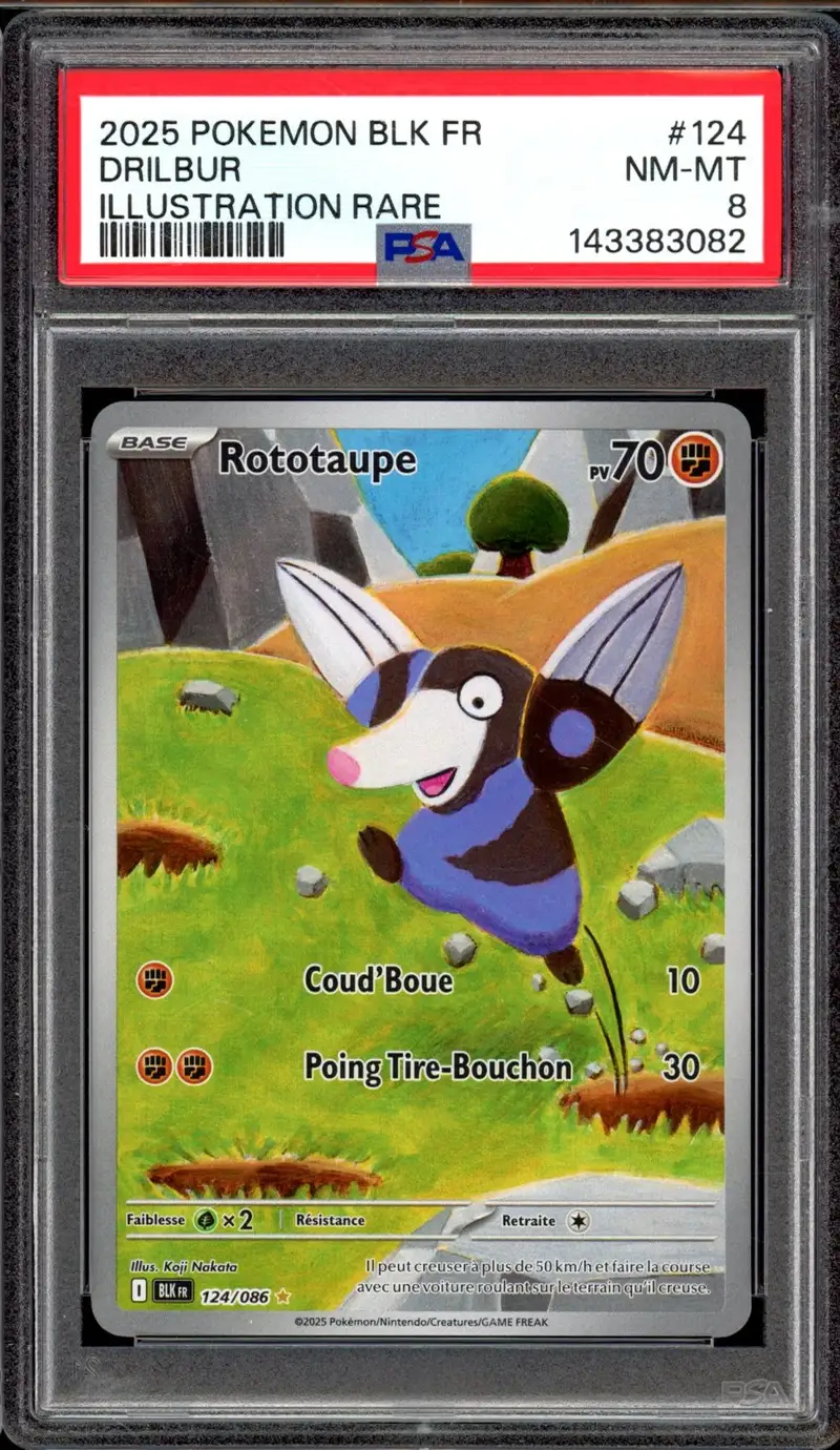 PSA 8 Rototaupe