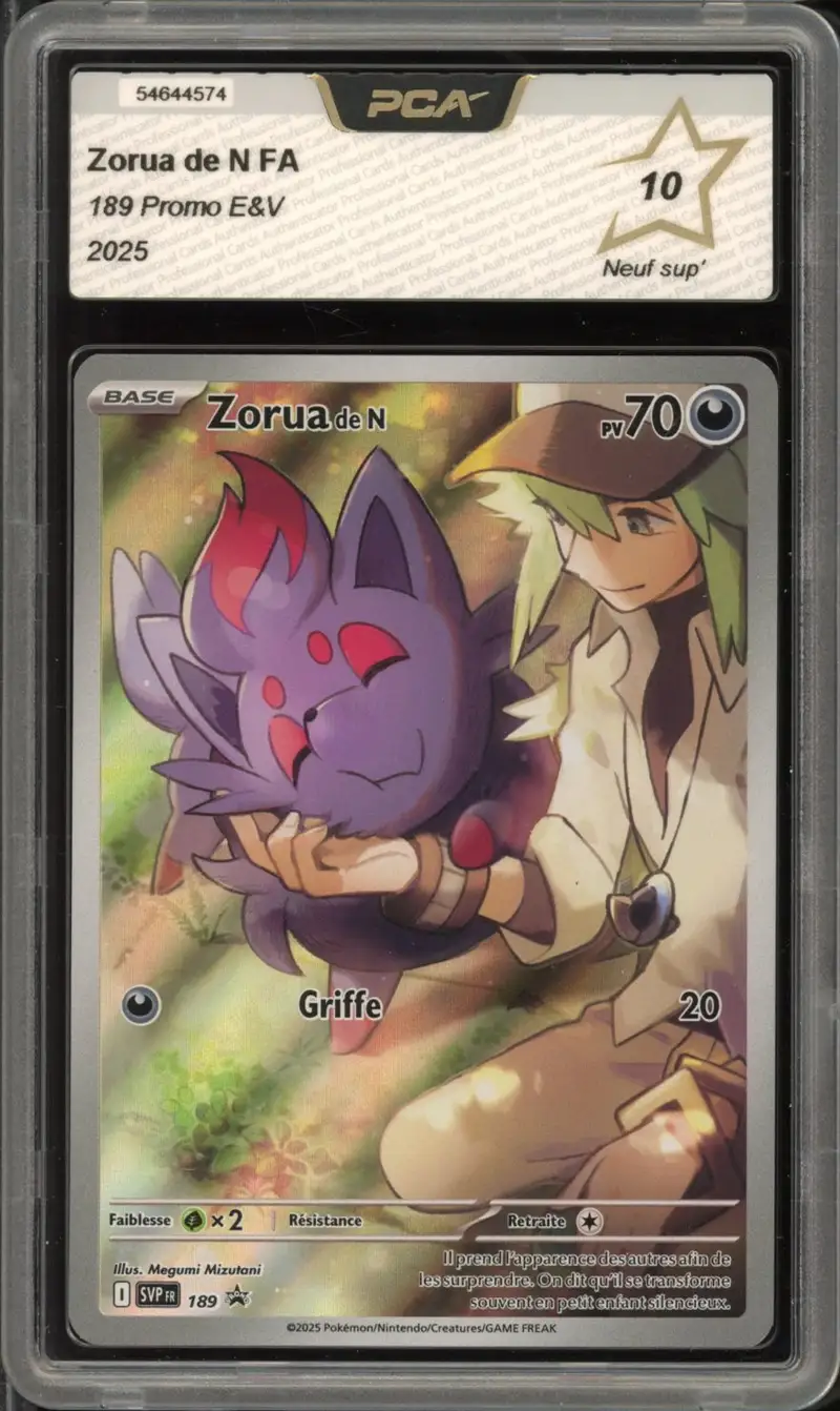 PCA 10 Zorua de N