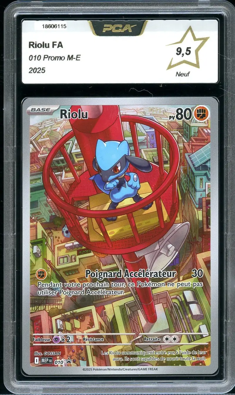 PCA 9.5 Riolu