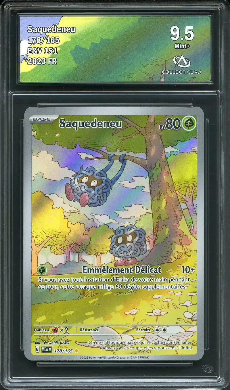 CA 9.5 Saquedeneu